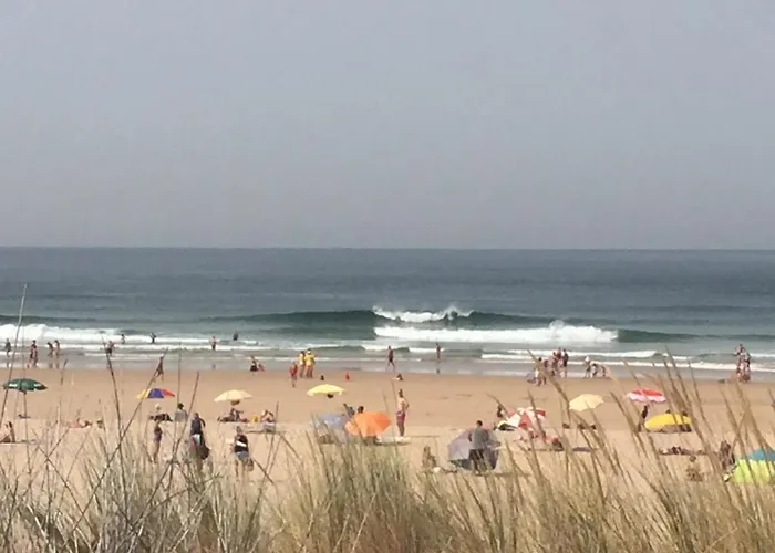 Bed and Breakfast Lisbon Surf *